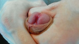 Y0ungboys  09-12-2020
